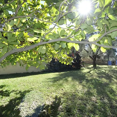 Apartamento Magdalini Afión